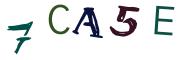 Image CAPTCHA