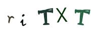 Image CAPTCHA
