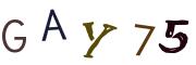 Image CAPTCHA