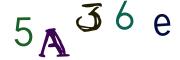 Image CAPTCHA
