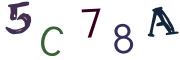 Image CAPTCHA
