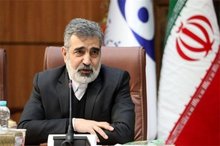 IAEA inspectors monitor refueling Bushehr nuclear plant