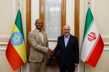 Iran, Ethiopia aim to strengthen political, economic ties: Speaker Ghalibaf