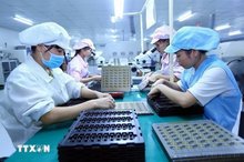 Workers in an electronic component assembly line of the factory of the Bao Sen Co. Ltd in Bac Ninh province. (Photo: VNA)