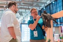Elite Falcon Breeds Soar in Riyadh's Skies