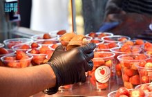 Strawberry Farms: A Premier Agricultural, Tourist Experience in the Peaks of Aseer