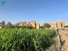 Aseer Farms: Unique Blend of Nature and Sustainable Tourism