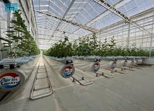 Estidamah Launches Second Greenhouse Management Training Program with NEOM's Topian