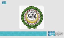 Arab League Secretary-General Calls for Unified Action Against Islamophobia