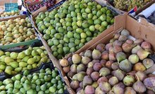 Aseer's Figs: A Sweet Summer Draw for Tourists and Local Economy
