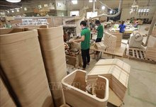 “Vietnam Wood” certification mark launched as symbol of validation