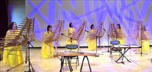 Traditional Vietnamese music rings cultural note with audiences in RoK