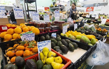 Export hub model opens new pathways for Vietnamese goods in Canada (Photo: VNA)