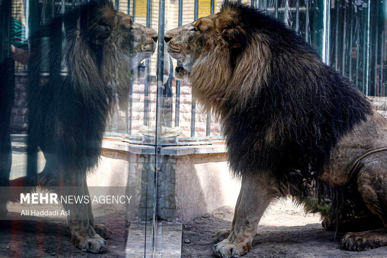 Tehran Grand Zoo