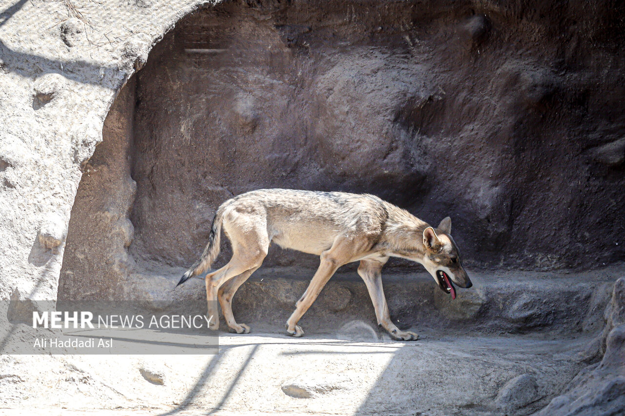 Tehran Grand Zoo