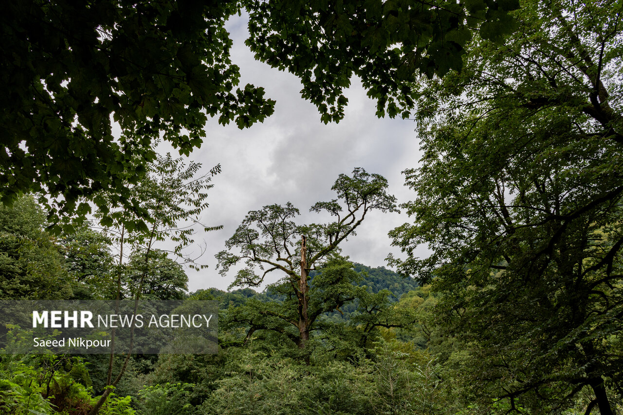 Rudkhan Castle