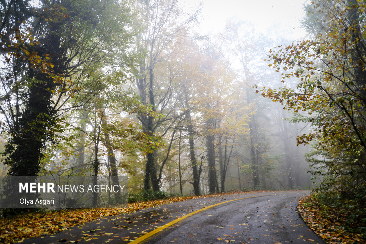 Autumn in the Heights of Golestan