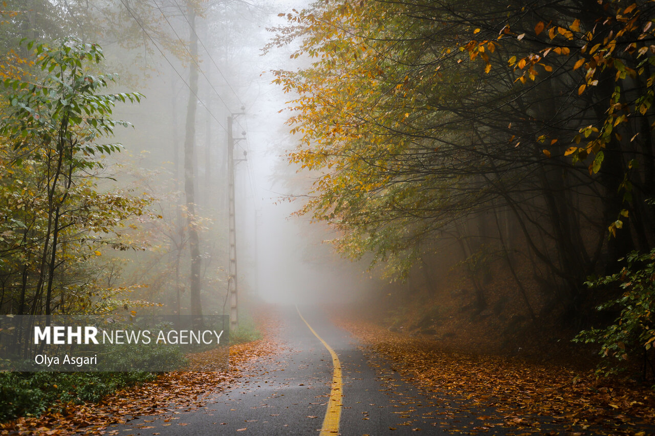 Autumn in the Heights of Golestan