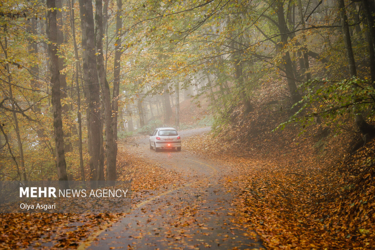 Autumn in the Heights of Golestan