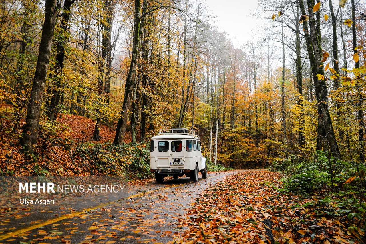 Autumn in the Heights of Golestan