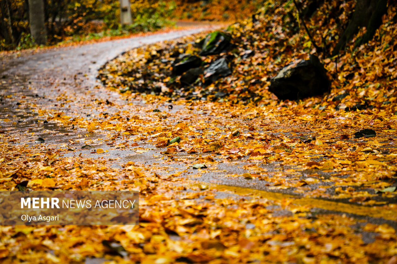 Autumn in the Heights of Golestan