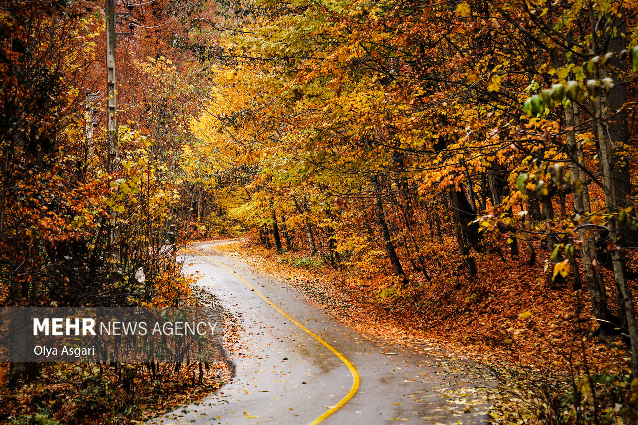 Autumn in the Heights of Golestan