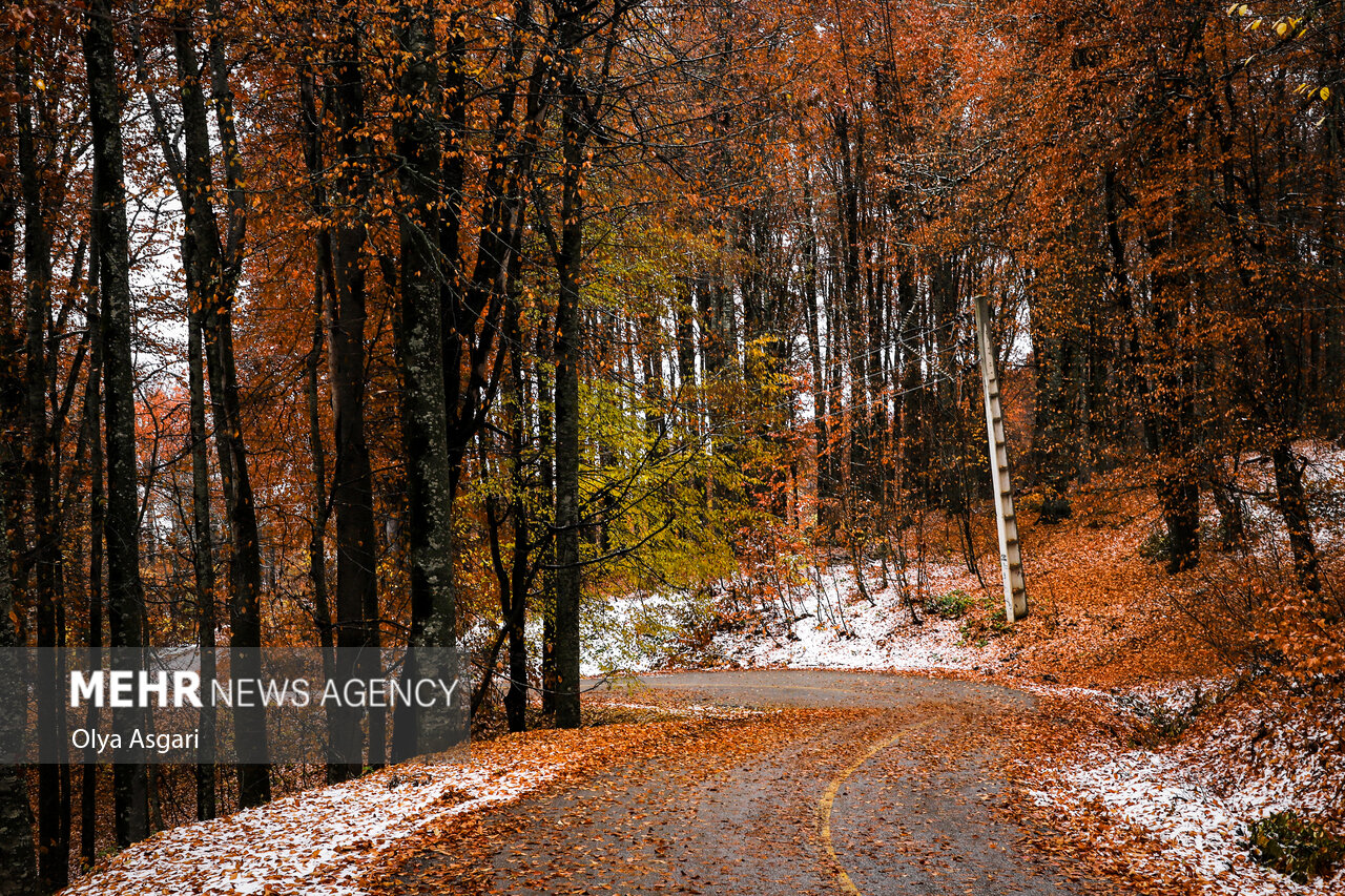 Autumn in the Heights of Golestan