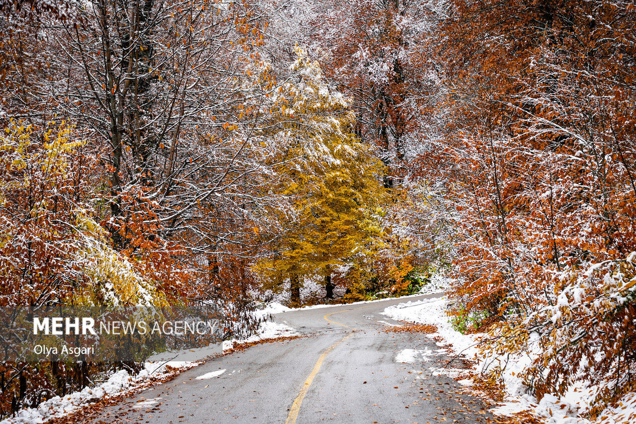 Autumn in the Heights of Golestan