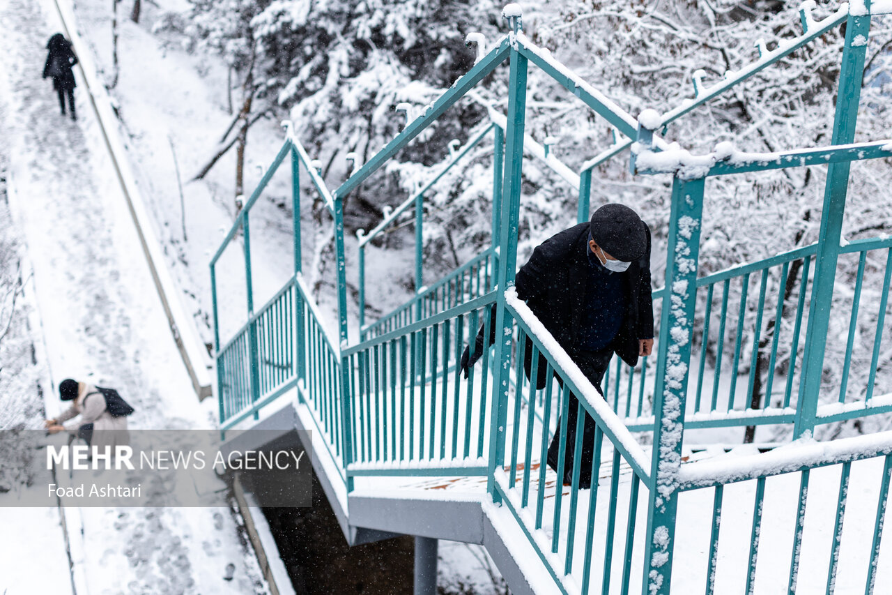 Snowfall in Tehran