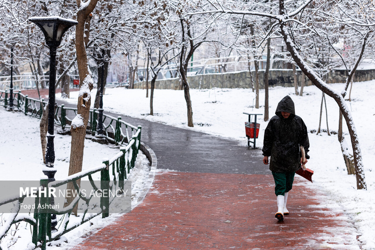 Snowfall in Tehran