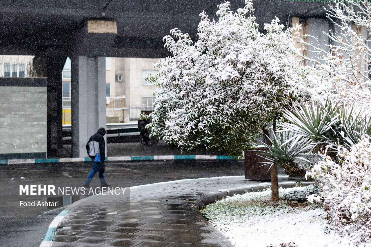 Snowfall in Tehran