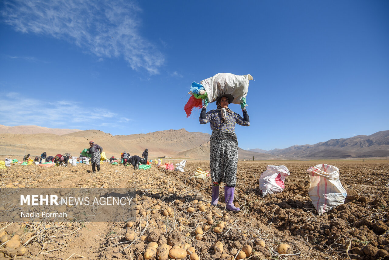 Selected Photos of September 2025