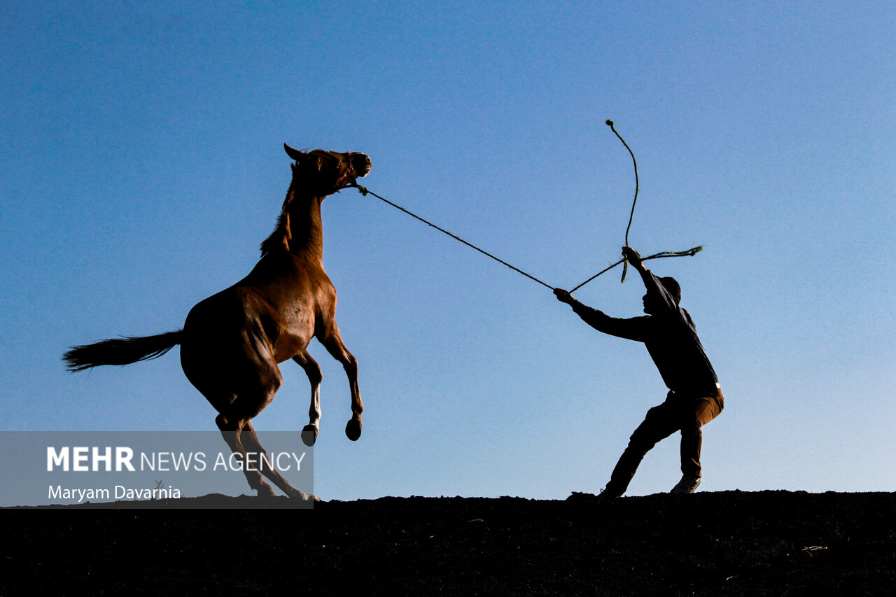 Selected Photos of September 2025