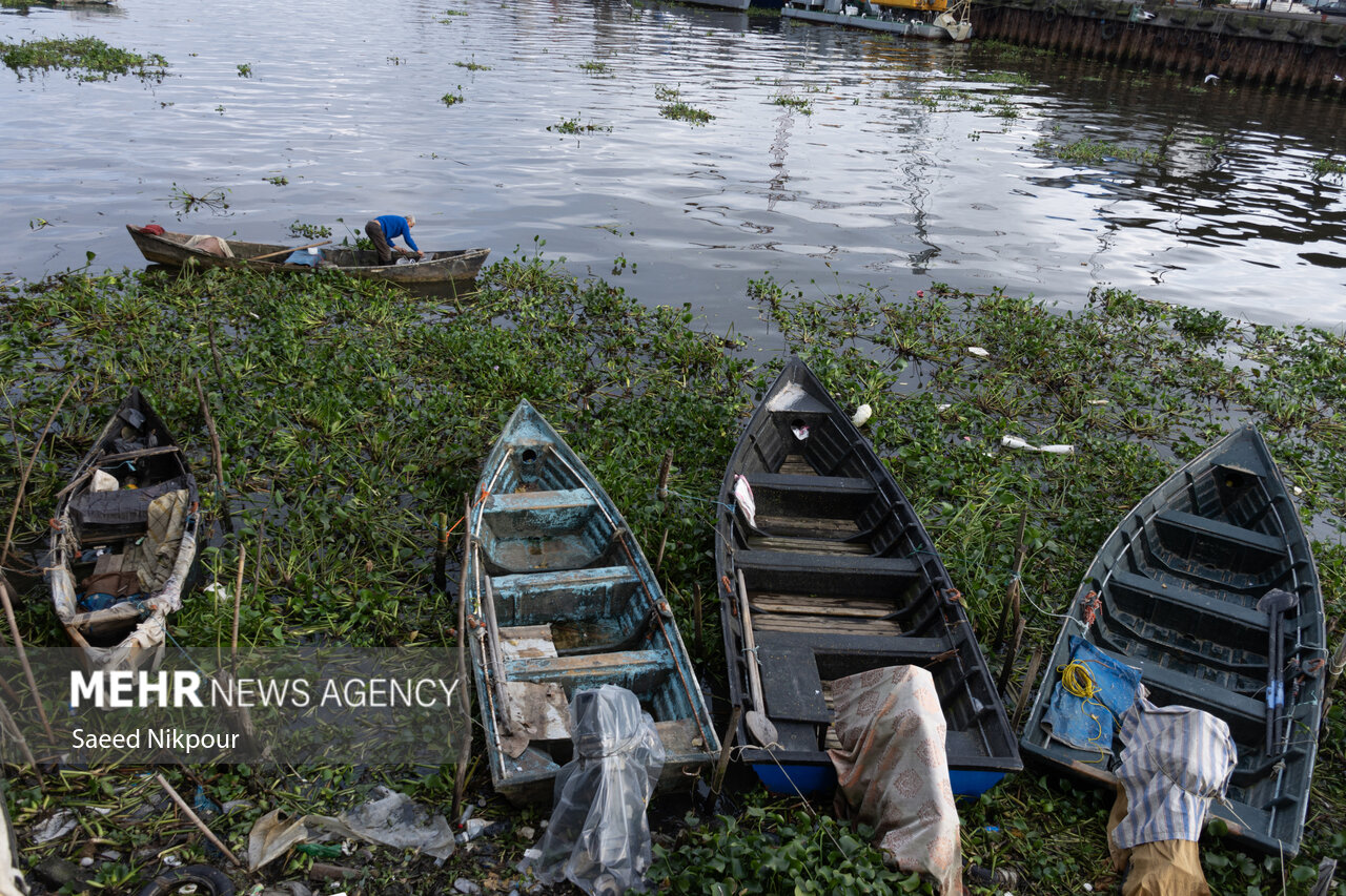 A House on Water: The Story of a Life