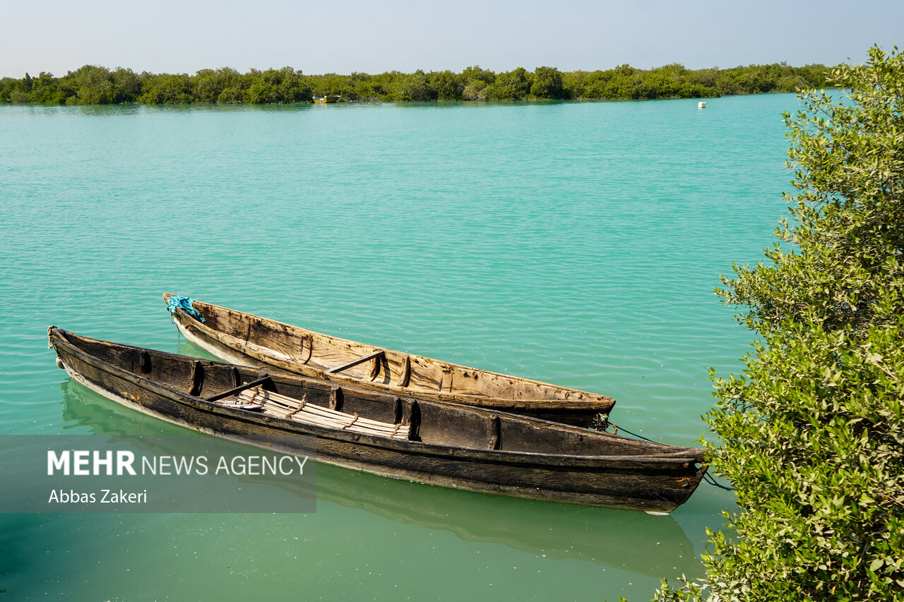 Selected Photos of September 2025