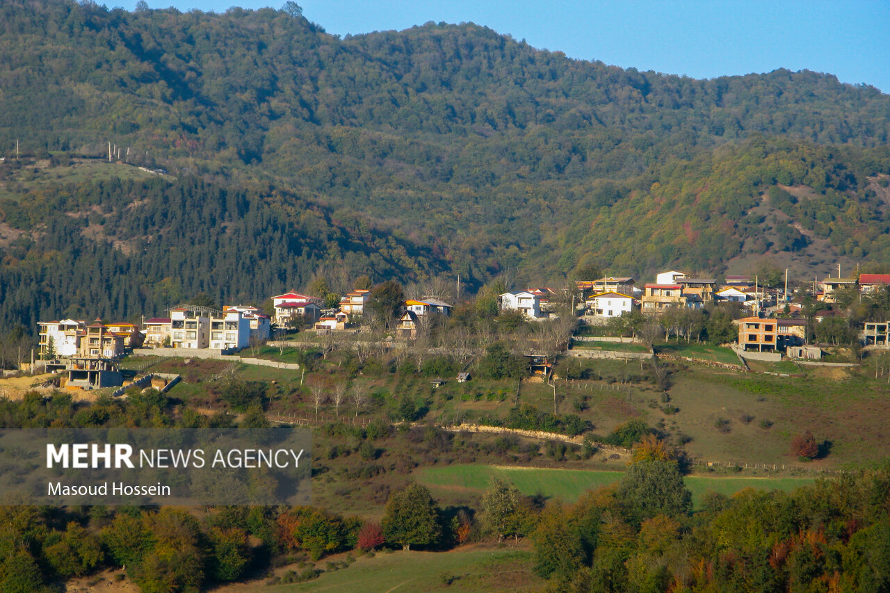 Autumnal leaf drop in Savadkuh