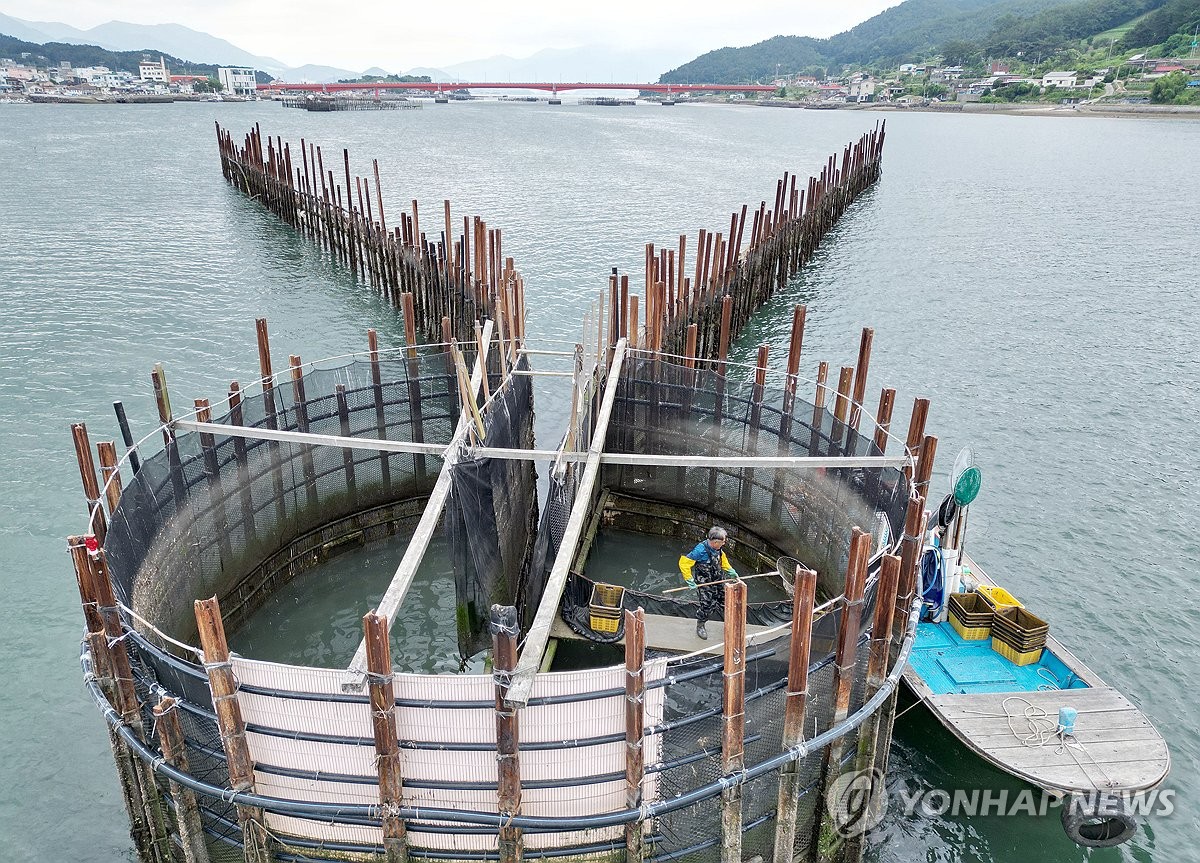 Traditional anchovy fishing