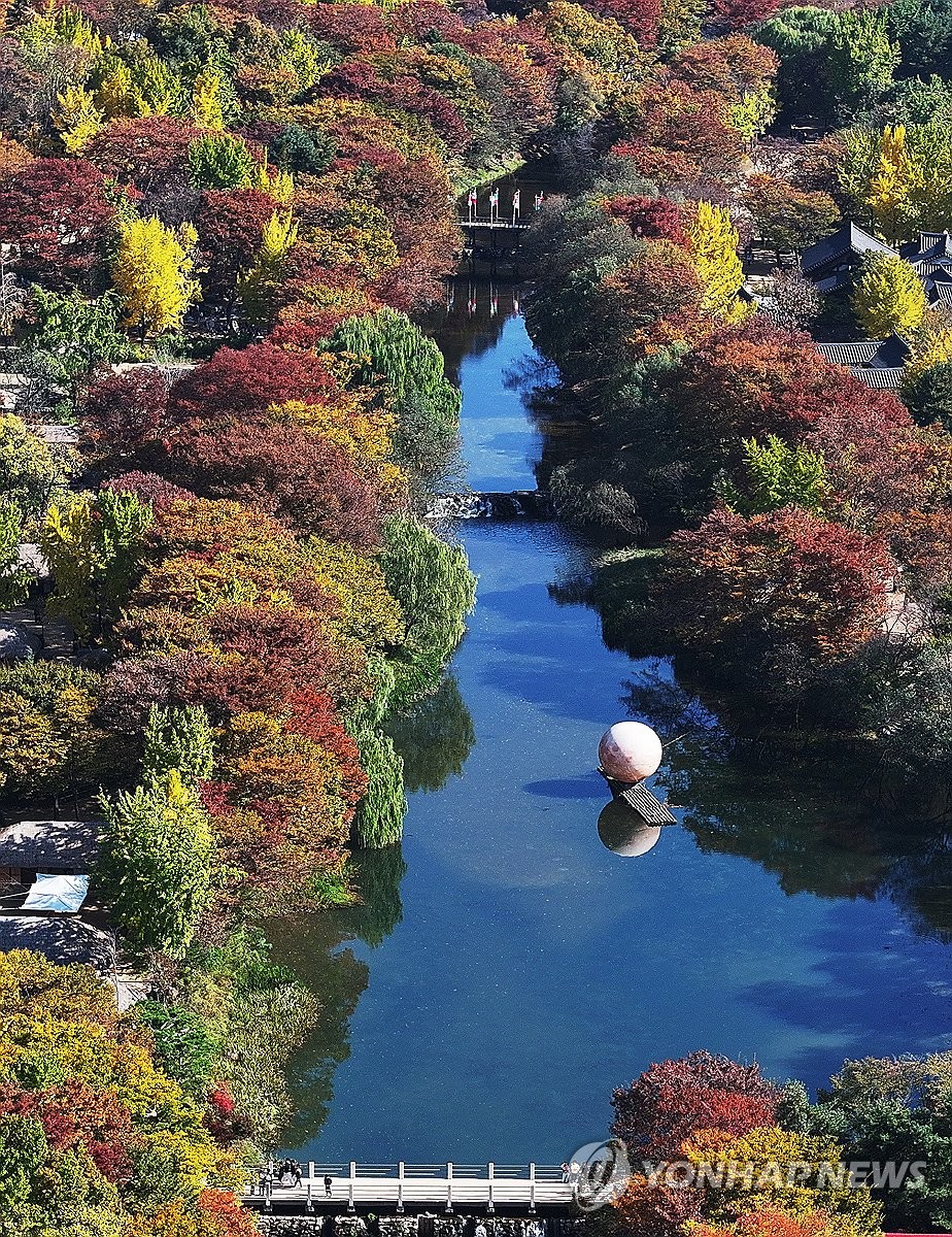 Fall foliage