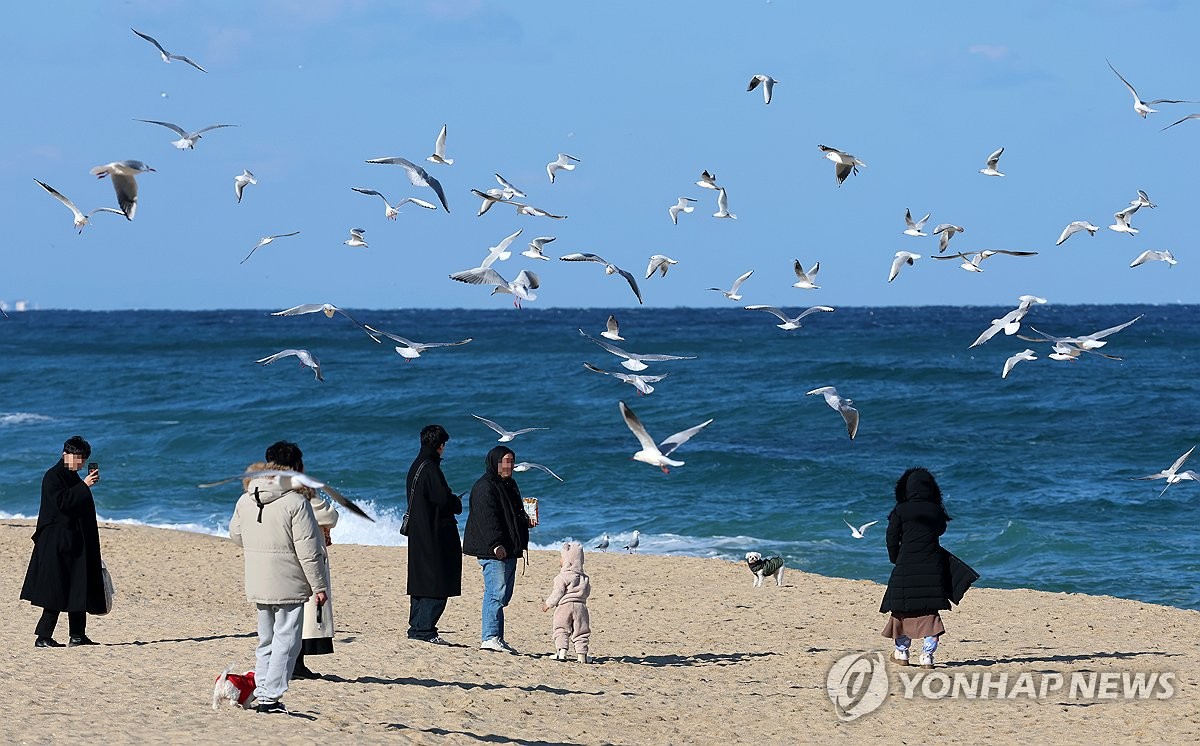 Winter beach