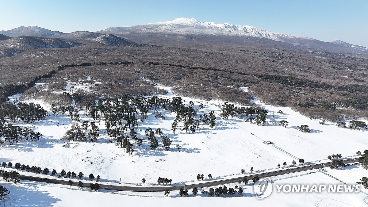 Snow-covered pasture on Jeju Island