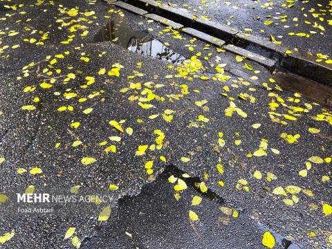 rain
