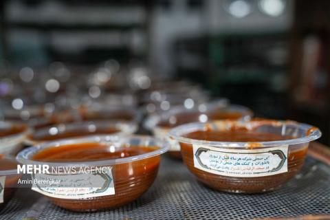 Cooking 30 Tons of "Samani" in Shiraz