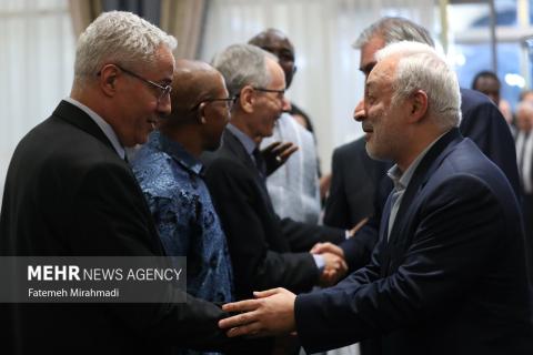African Union establishment anniversary in Tehran