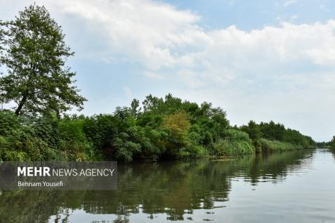 Anzali Wetland; A Spectacular Landscape of Northern Iran