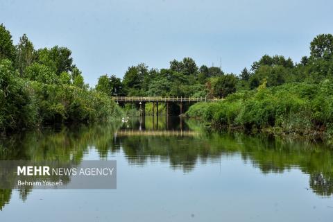 Anzali Wetland; A Spectacular Landscape of Northern Iran