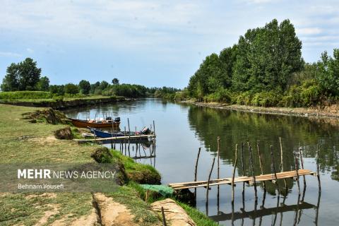 Anzali Wetland; A Spectacular Landscape of Northern Iran