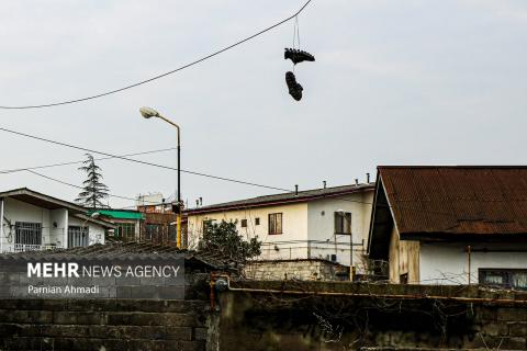 Selected Photos of September 2025