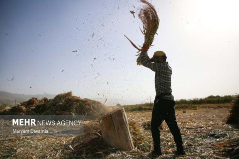 Selected Photos of September 2025