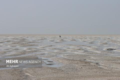 Lake Urmia: Gasping its last breaths in the silence of the salt desert