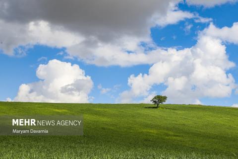 Selected Photos of September 2025